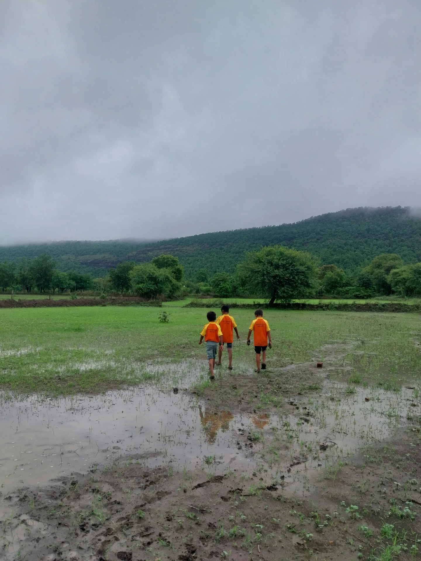 Children exploring nature and learning under open skies