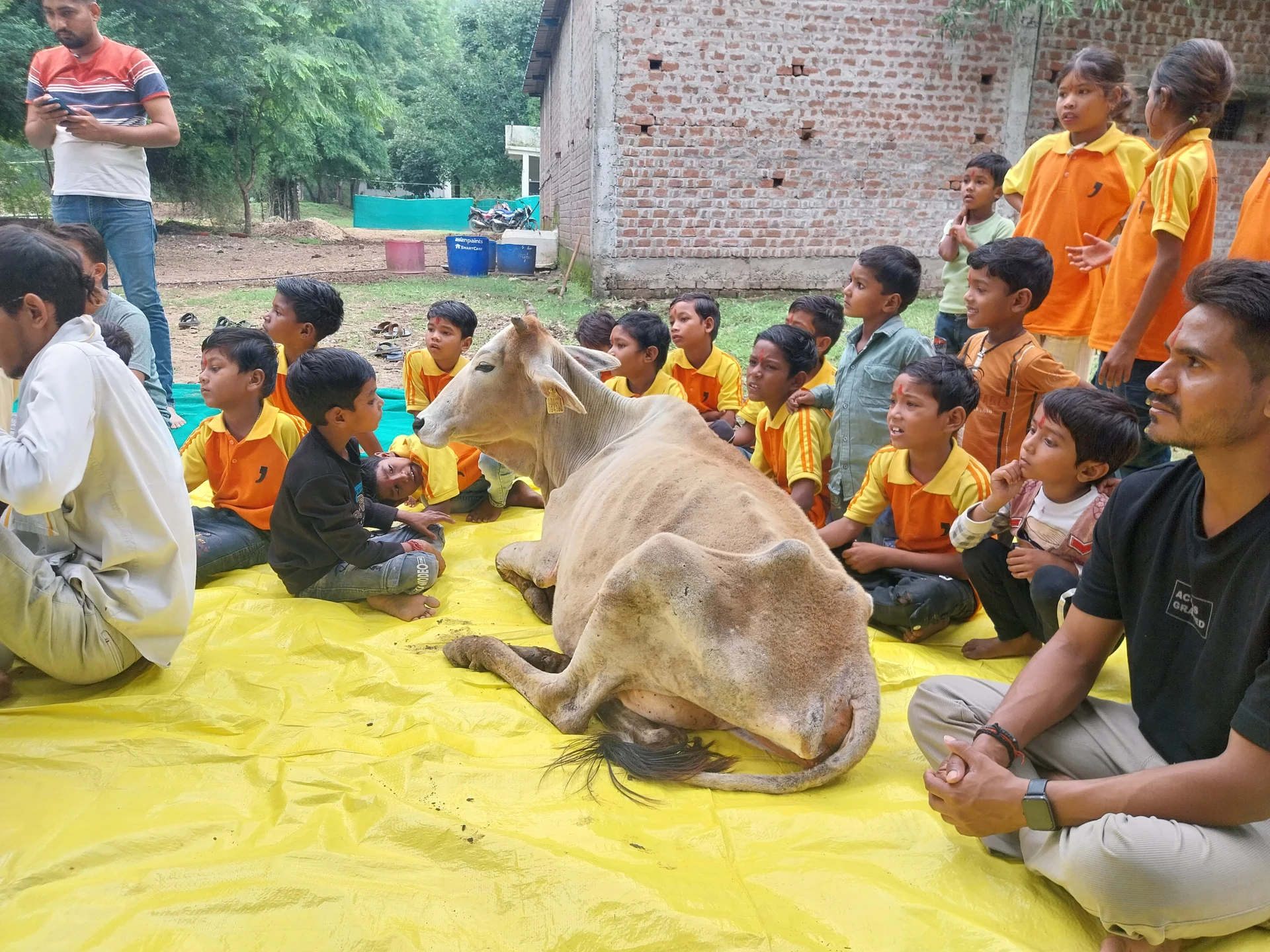 Gaushala and animal empathy